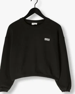 DAMES AMERICAN VINTAGE donkergrijze sweater izubird d