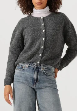 DAMES AMERICAN VINTAGE donkergrijze vest vitow cardigan