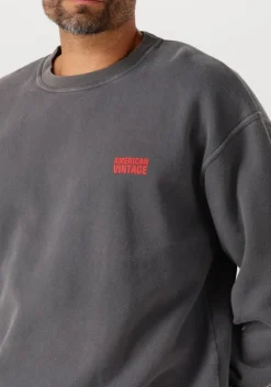 DAMES AMERICAN VINTAGE donkergrijze sweater plizzy 1