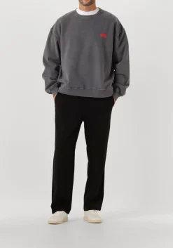 DAMES AMERICAN VINTAGE donkergrijze sweater plizzy 1