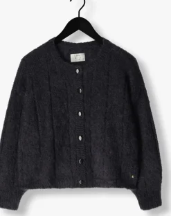 DAMES DES PETITS HAUTS donkergrijze vest chouette