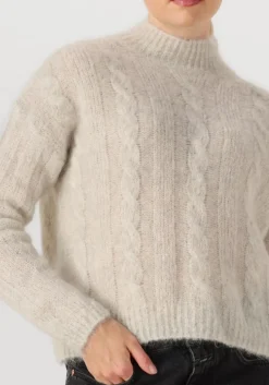 DAMES DES PETITS HAUTS trui alonzo