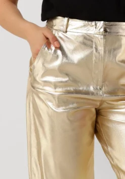DAMES IBANA en pantalon perfecta metallic
