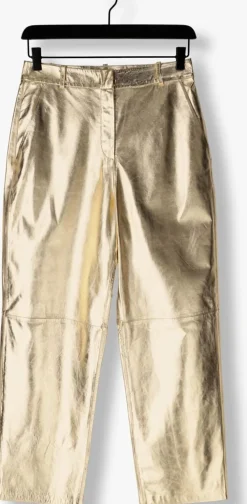 DAMES IBANA en pantalon perfecta metallic
