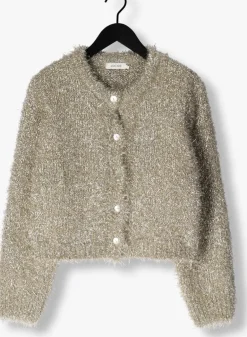 DAMES KNIT-TED en vest lynn cardigan