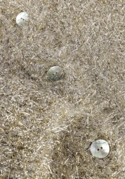 DAMES KNIT-TED en vest lynn cardigan