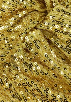 DAMES SECOND FEMALE en mini jurk shine on mini dress