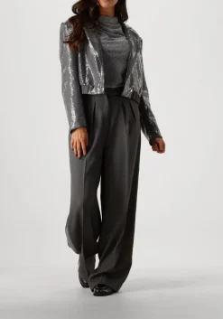 DAMES AAIKO grijze blazer mille sequins pes 356