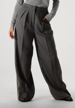 DAMES AAIKO grijze pantalon saba sequins pes 356