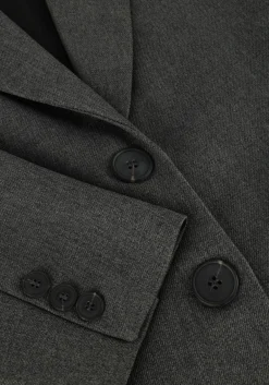DAMES ACCESS grijze blazer d44-1072-158