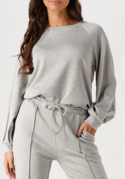 DAMES AIMEE THE LABEL grijze trui novy