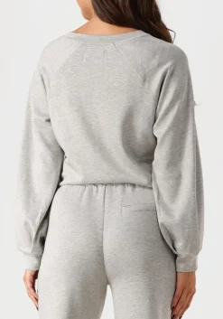 DAMES AIMEE THE LABEL grijze trui novy