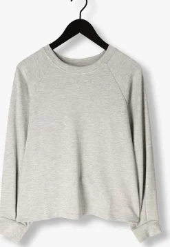 DAMES AIMEE THE LABEL grijze trui novy