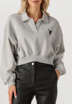 DAMES ALIX THE LABEL grijze sweater ladies knitted polo sweater