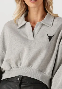 DAMES ALIX THE LABEL grijze sweater ladies knitted polo sweater