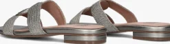 DAMES BIBI LOU grijze slippers 849z94hg