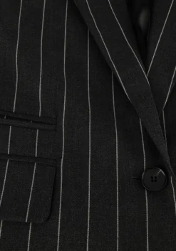 DAMES CO'COUTURE grijze blazer prescilla pin blazer