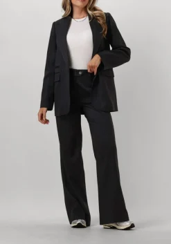 DAMES CO'COUTURE grijze pantalon ida pin wide long pant