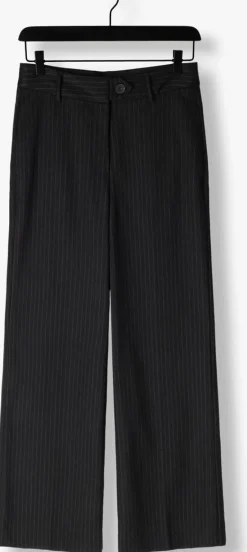 DAMES CO'COUTURE grijze pantalon ida pin wide long pant
