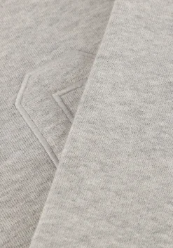 DAMES CO'COUTURE grijze sweater zoe coco sweat