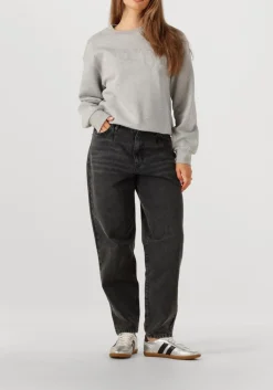 DAMES CO'COUTURE grijze sweater zoe coco sweat