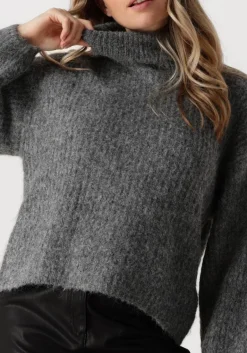 DAMES CO'COUTURE grijze trui coralie roll knit