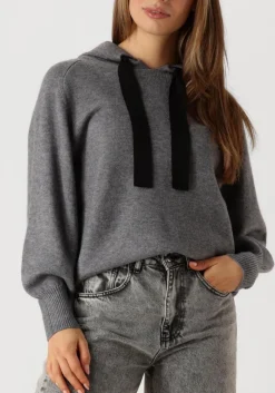 DAMES CO'COUTURE grijze trui row hoodie knit