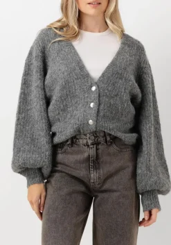 DAMES CO'COUTURE grijze vest corelie button knit