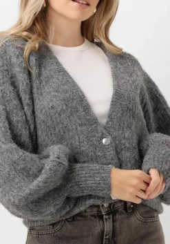 DAMES CO'COUTURE grijze vest corelie button knit