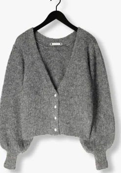 DAMES CO'COUTURE grijze vest corelie button knit