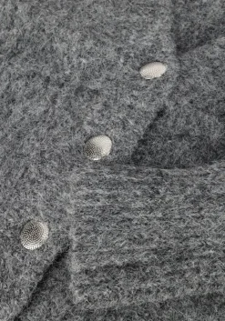 DAMES CO'COUTURE grijze vest corelie button knit