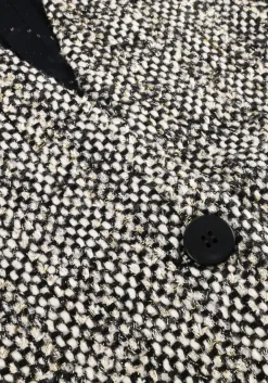 DAMES COPENHAGEN MUSE grijze blazer cmrubi-waistcoat