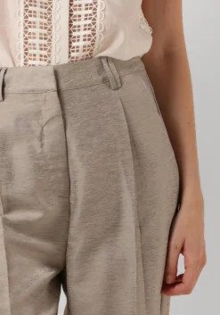 DAMES COPENHAGEN MUSE grijze pantalon cmcilly-pants