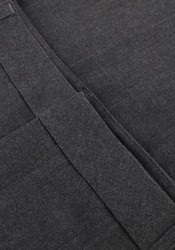 DAMES COPENHAGEN MUSE grijze wijde broek cmtailor-pants