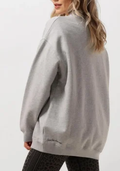 DAMES DEBLON SPORTS grijze sweater puck sweater