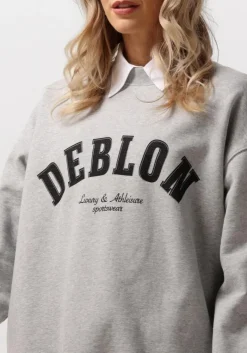 DAMES DEBLON SPORTS grijze sweater puck sweater