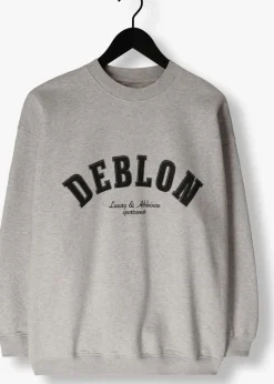 DAMES DEBLON SPORTS grijze sweater puck sweater