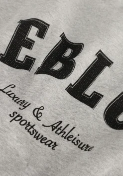 DAMES DEBLON SPORTS grijze sweater puck sweater