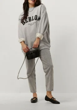 DAMES DEBLON SPORTS grijze sweater puck sweater