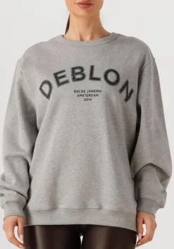 DAMES DEBLON SPORTS grijze trui cathy sweater