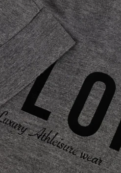 DAMES DEBLON SPORTS grijze t-shirt viola top short sleeve