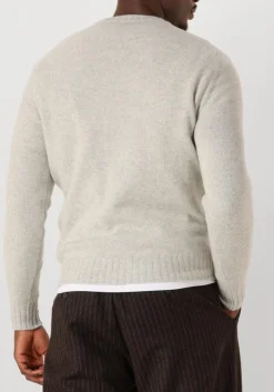 Heren FILIPPO DE LAURENTIIS grijze trui g.collo ml lana cashmere