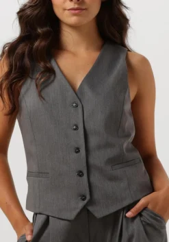 DAMES JANICE grijze gilet dave gilet