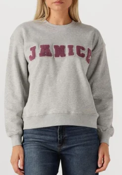 DAMES JANICE grijze sweater andy