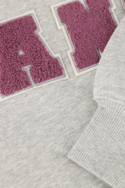 DAMES JANICE grijze sweater andy