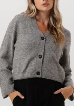 DAMES KNIT-TED grijze vest ariel