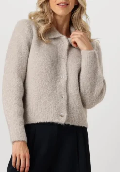 DAMES KNIT-TED grijze vest asa