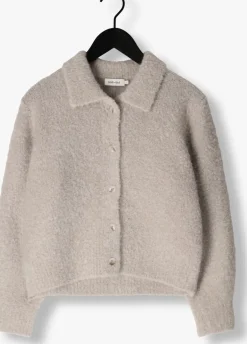 DAMES KNIT-TED grijze vest asa