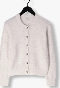 DAMES KNIT-TED grijze vest britney