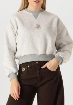 DAMES LOIS JEANS grijze sweater cropp over